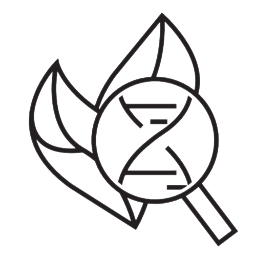 bis.png bis.png